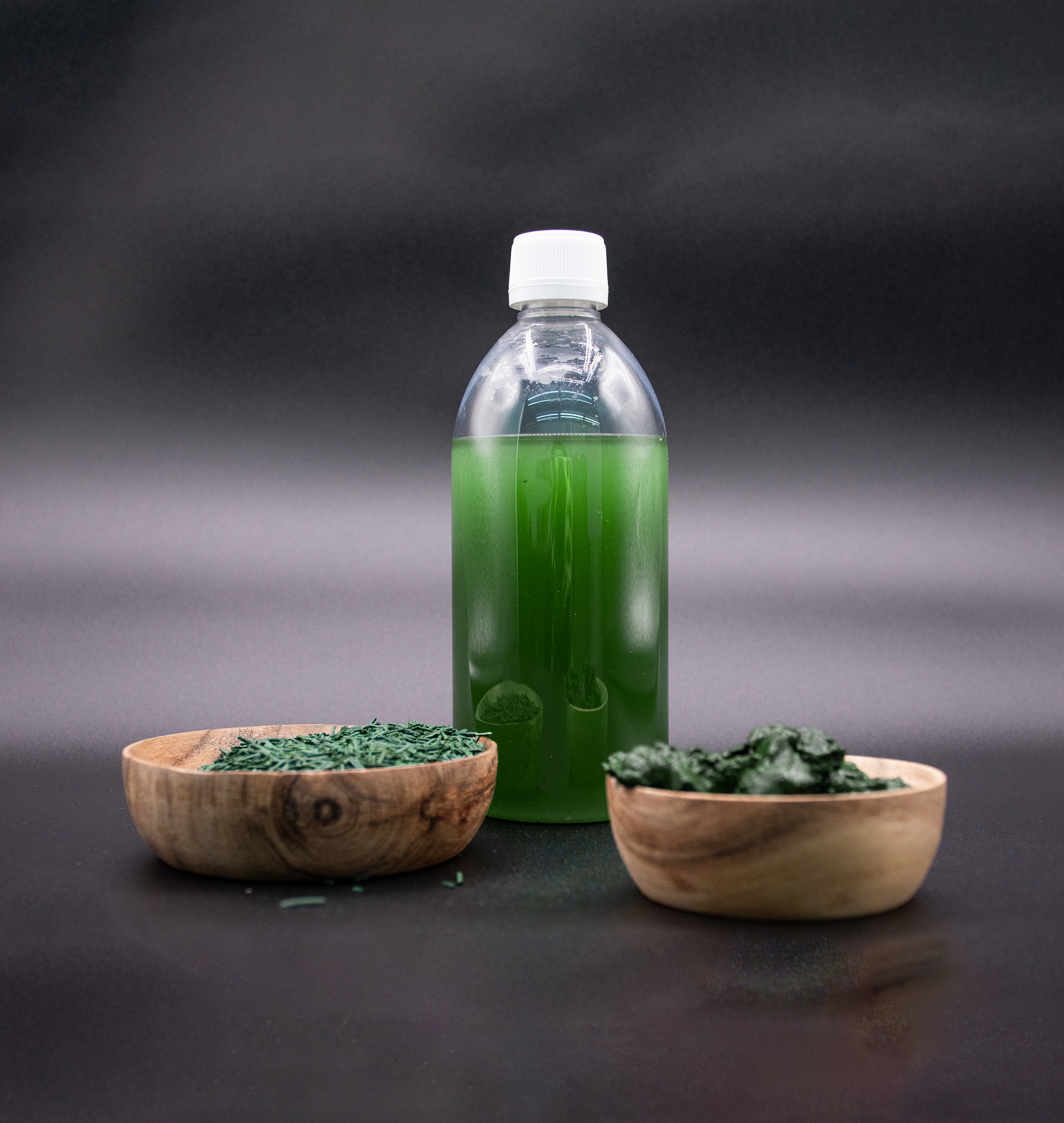 Kit de cultivo espirulina